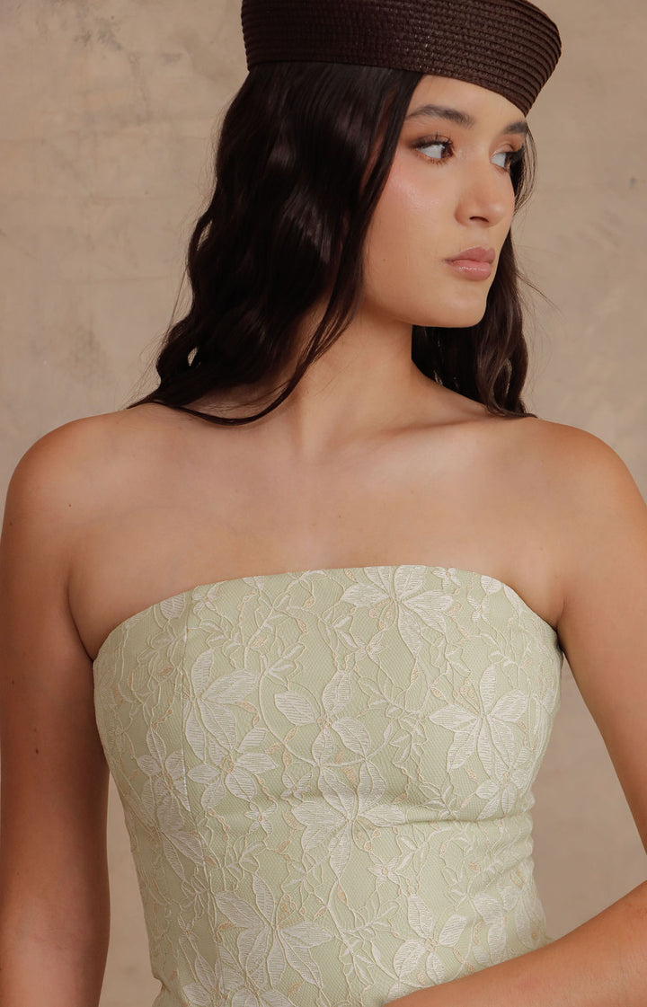 SET GARDENIA